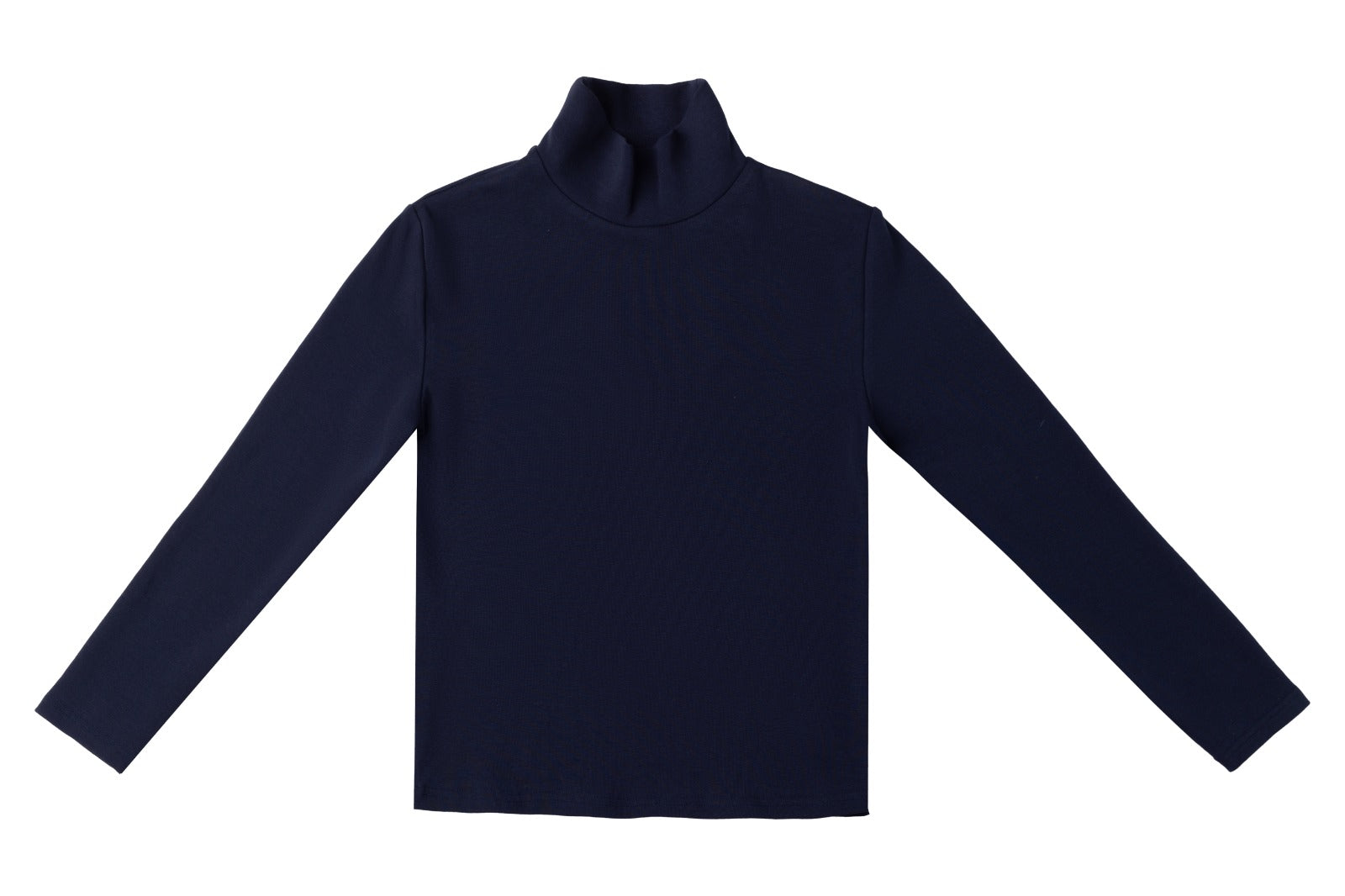 Rowan Fitted Turtleneck